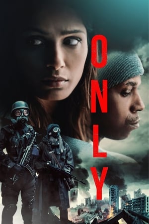 Only 2019 Hindi Dual Audio 300MB
